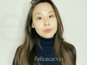 Felicecarvin