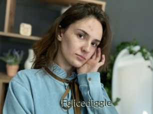 Felicediggle