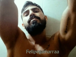Felipegamarraa