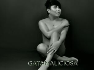 GATAMALICIOSA