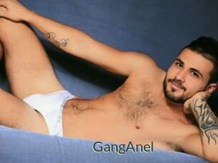 GangAnel