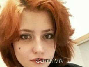 GarminViV