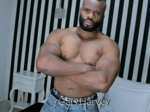 GaryHarvey