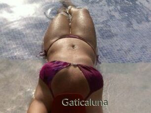 Gaticaluna