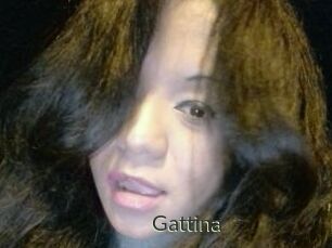 Gattina