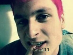 Gay411