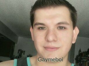 Gaymeboi