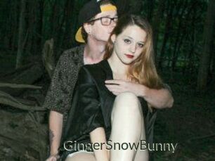 GingerSnowBunny