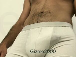Gizmo2000