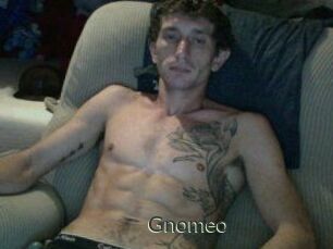 Gnomeo
