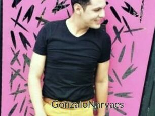 GonzaloNarvaes