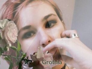Grothia