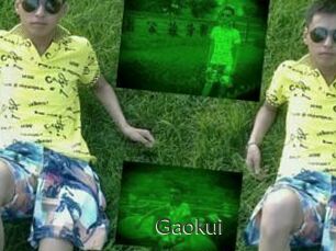 Gaokui