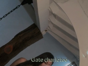 Gate_charlotee