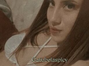Gatubelaspicy