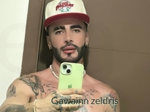 Gawainn_zeldris