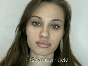 Gaynacornfield