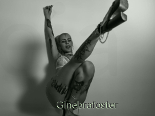 Ginebrafoster