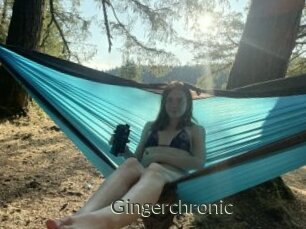 Gingerchronic