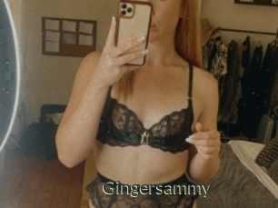Gingersammy