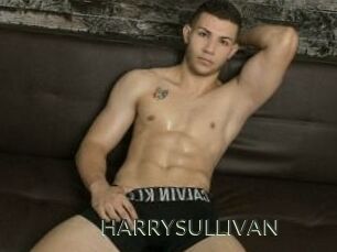 HARRYSULLIVAN