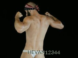 HEVAN12344