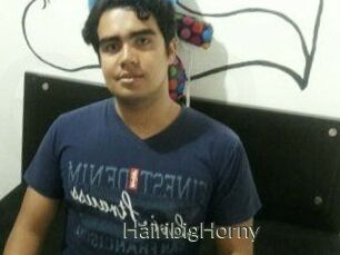 HairibigHorny