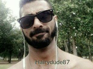 Hairydude87