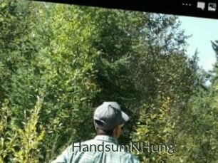 HandsumNHung
