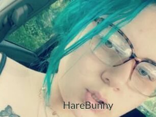 HareBunny