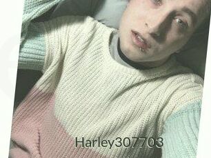 Harley307703