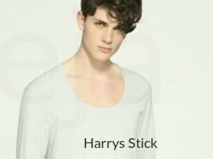 Harrys_Stick