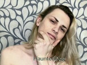 HauntedDog