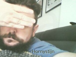 Hornystijn