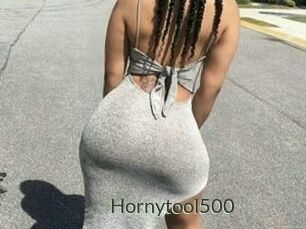 Hornytool500