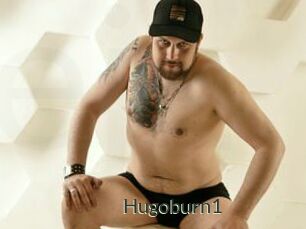 Hugoburn1