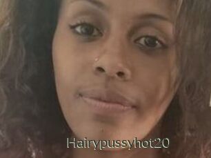 Hairypussyhot20