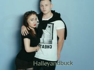 Halleyandbuck
