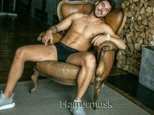 Hamermusk