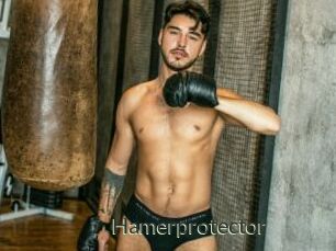 Hamerprotector