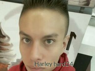 Harley_hard24