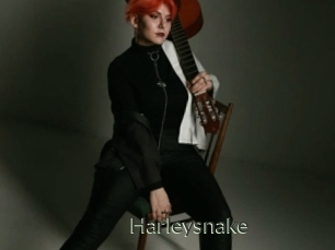 Harleysnake