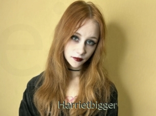 Harrietbigger