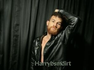 Harrybsmdirt