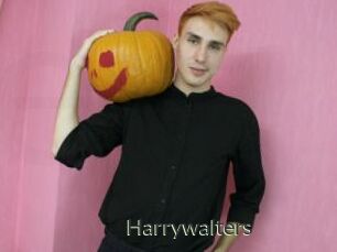 Harrywalters