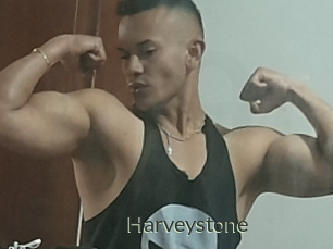 Harveystone