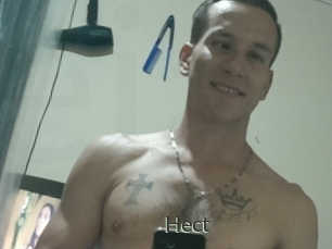 Hect