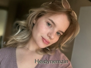 Heidynemzin