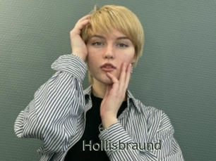 Hollisbraund