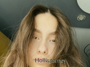 Hollisgarney